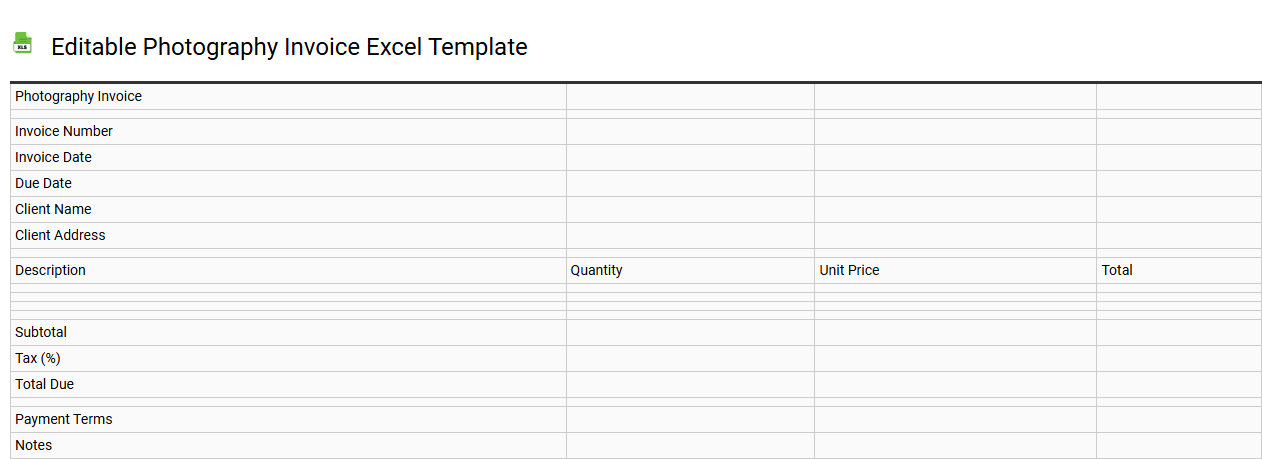 Editable photography invoice Excel template
