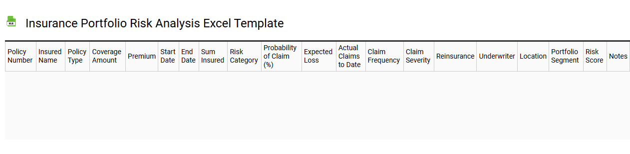 Insurance portfolio risk analysis Excel template