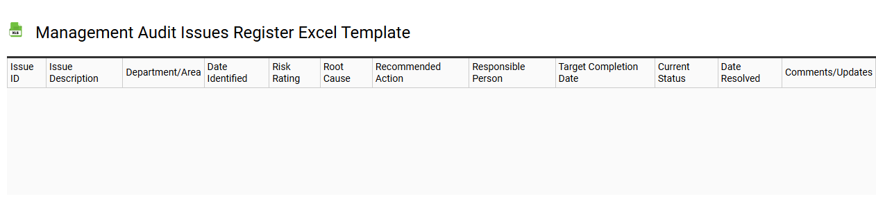 Management audit issues register Excel template
