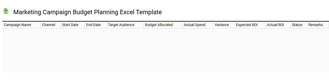 Marketing campaign budget planning Excel template