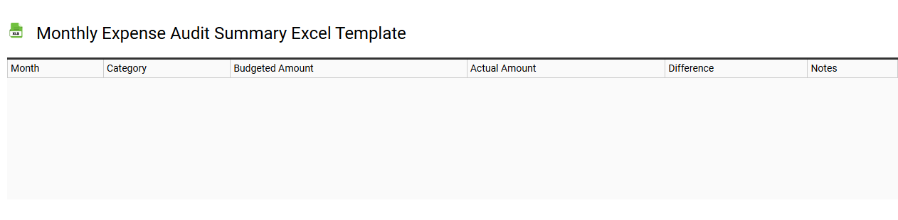 Monthly expense audit summary Excel template