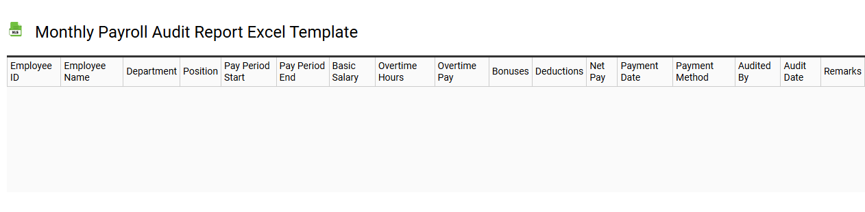 Monthly payroll audit report Excel template