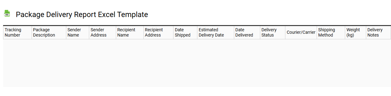 Package delivery report Excel template