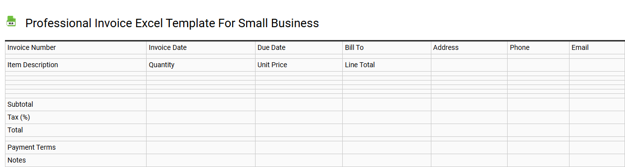 Professional invoice Excel template for small business