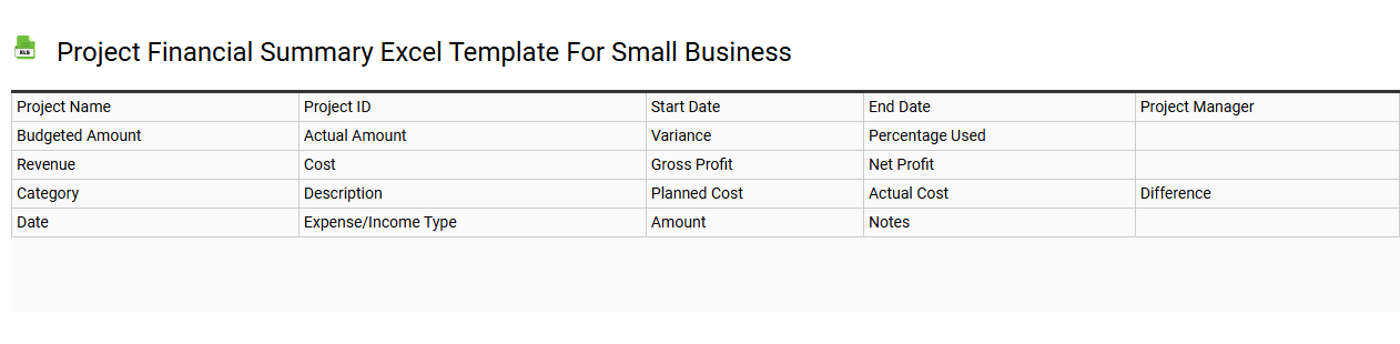 Project financial summary Excel template for small business