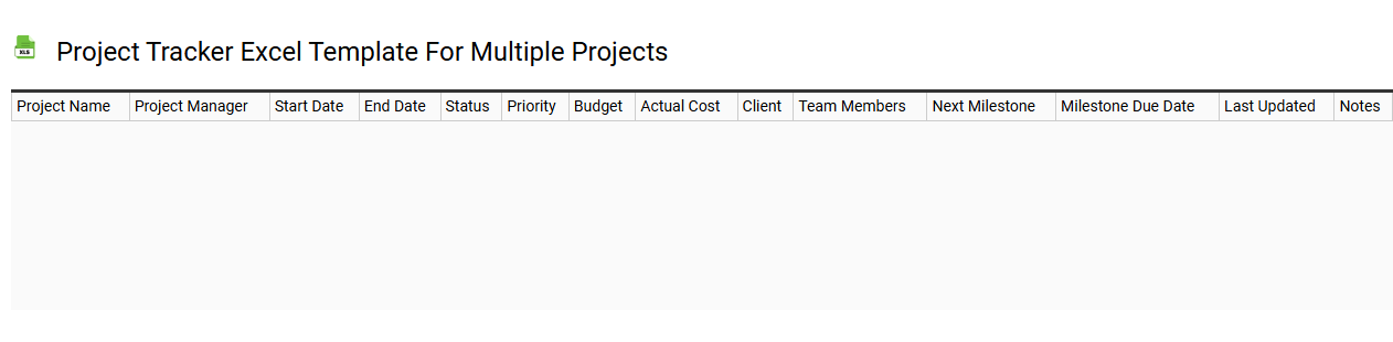 Project tracker Excel template for multiple projects