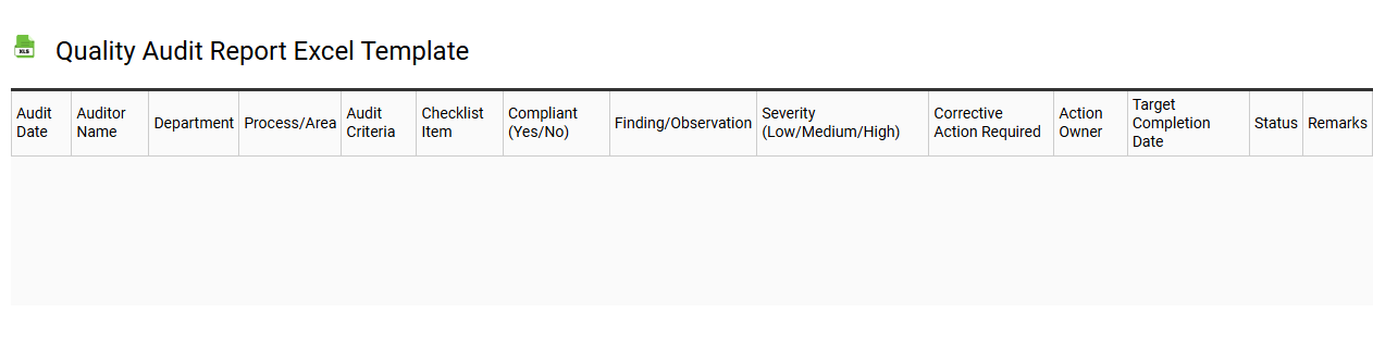 Quality audit report Excel template
