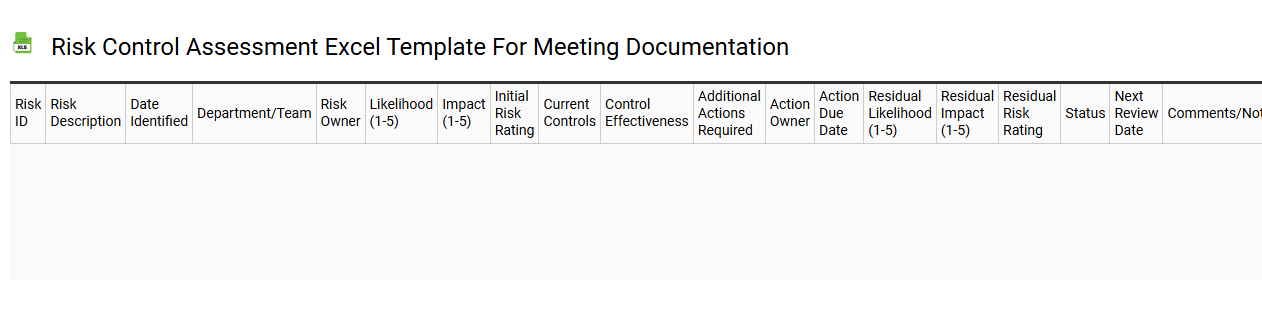 Risk control assessment Excel template for meeting documentation