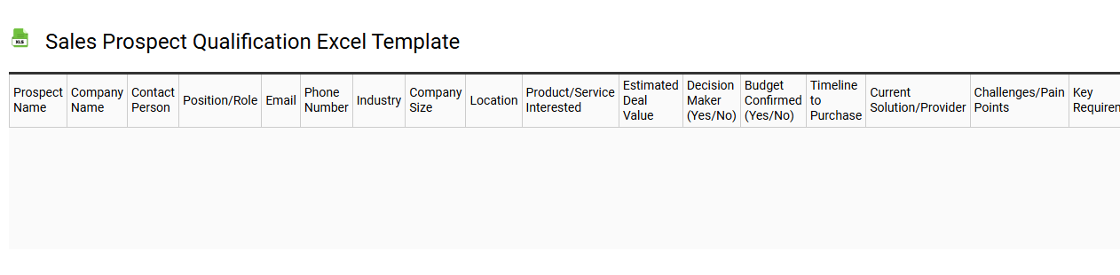 Sales prospect qualification Excel template
