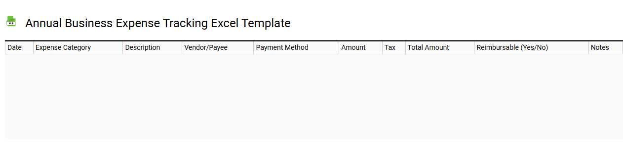 Annual business expense tracking Excel template
