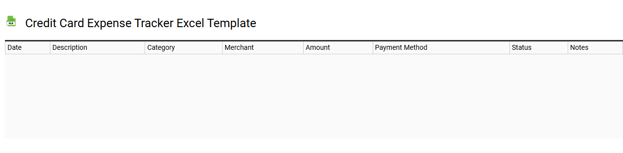 Credit card expense tracker Excel template