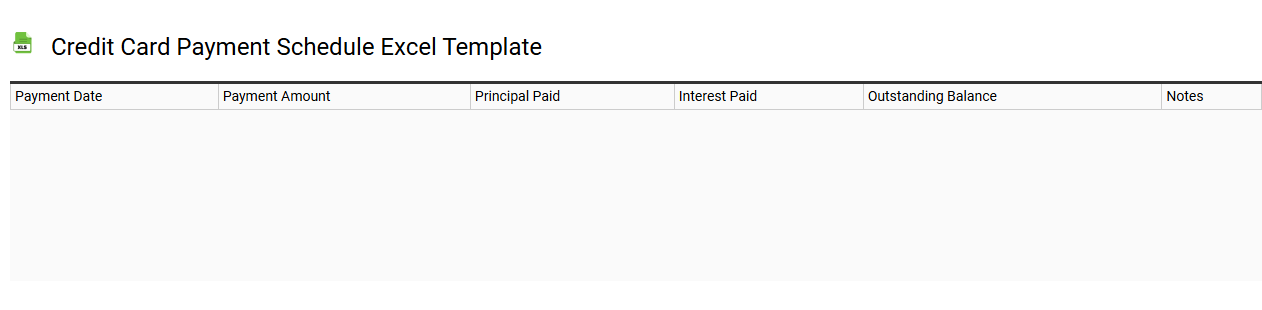 Credit card payment schedule Excel template