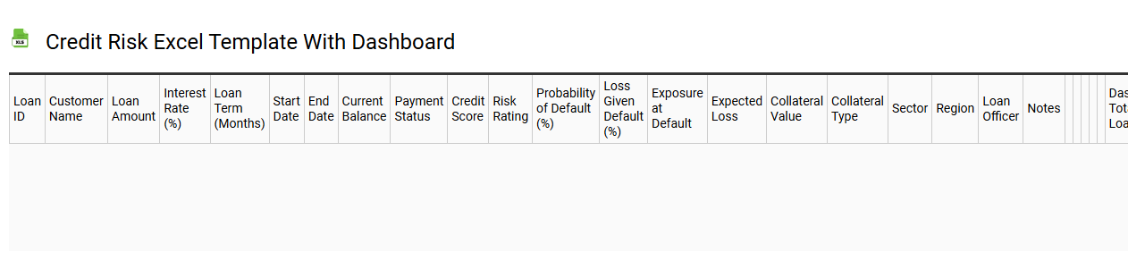 Credit risk Excel template with dashboard