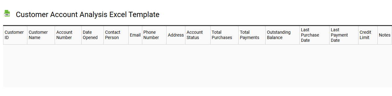 Customer account analysis Excel template