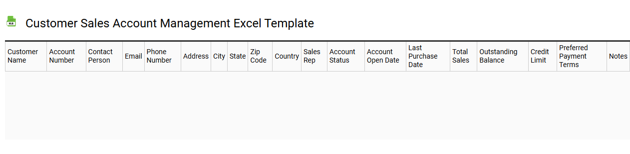 Customer sales account management Excel template