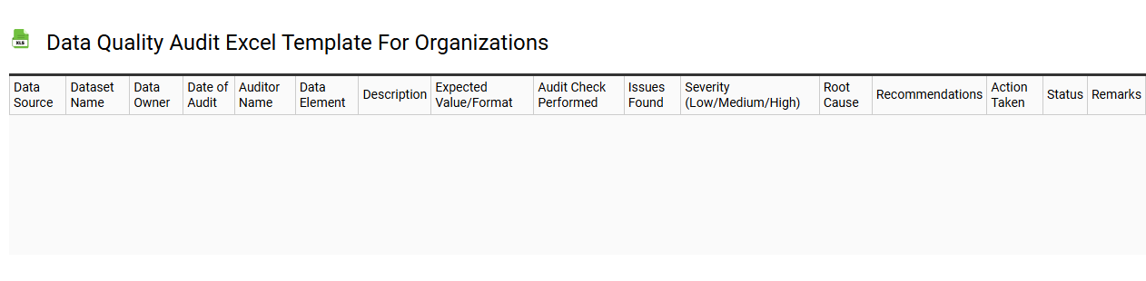 Data quality audit Excel template for organizations