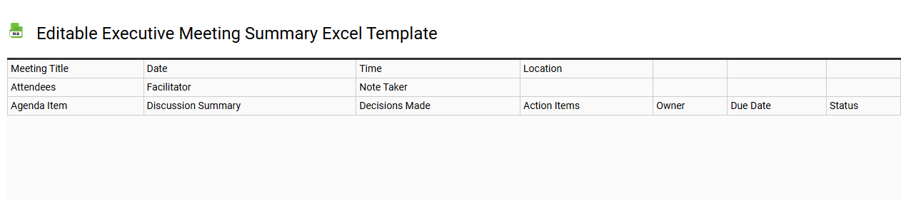 Editable executive meeting summary Excel template