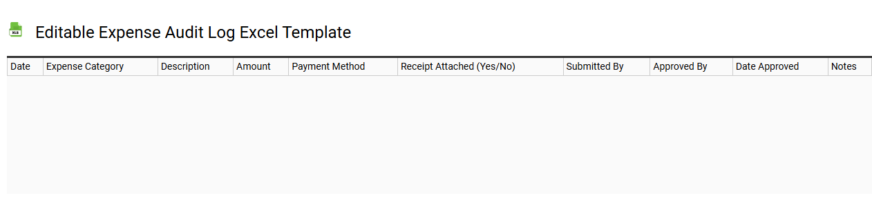 Editable expense audit log Excel template