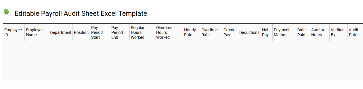 Editable payroll audit sheet Excel template