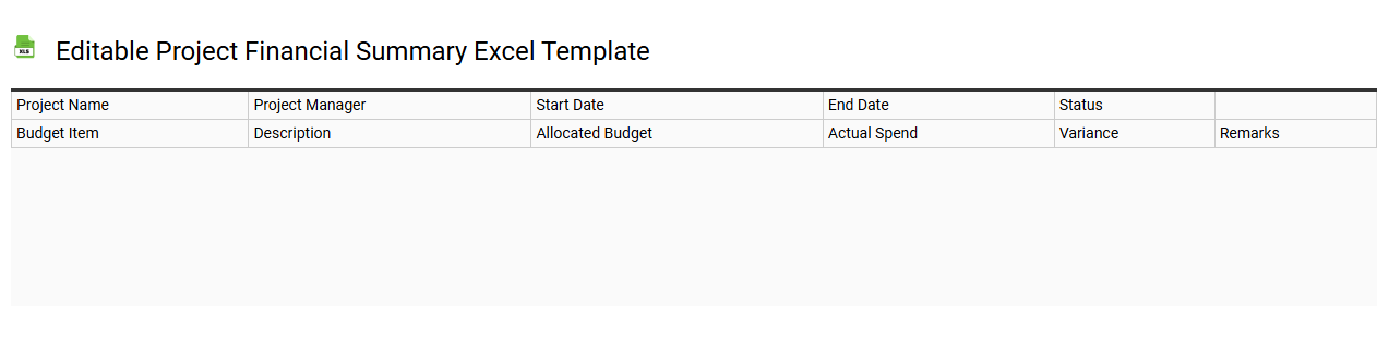Editable project financial summary Excel template