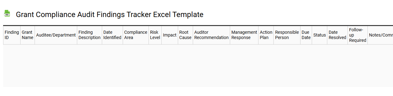 Grant compliance audit findings tracker Excel template