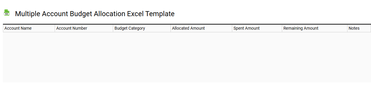 Multiple account budget allocation Excel template