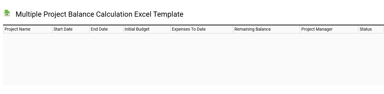 Multiple project balance calculation Excel template