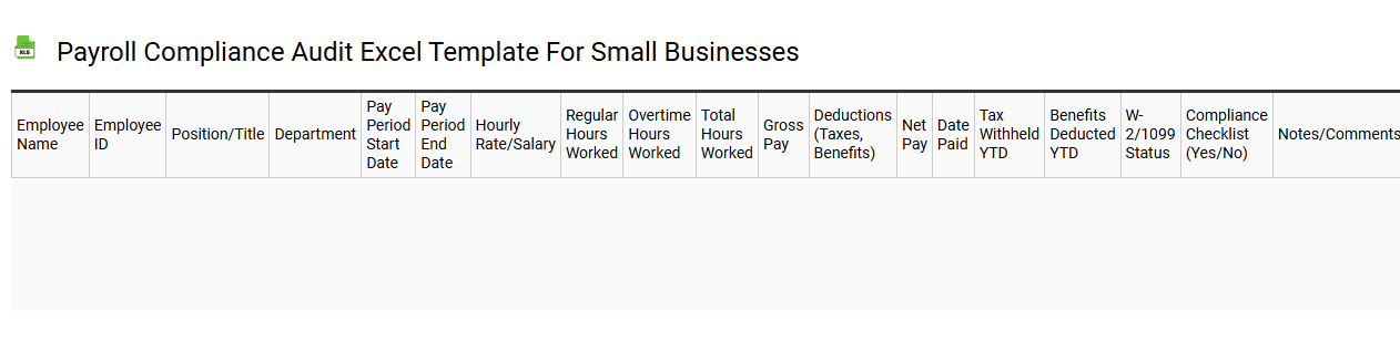 Payroll compliance audit Excel template for small businesses