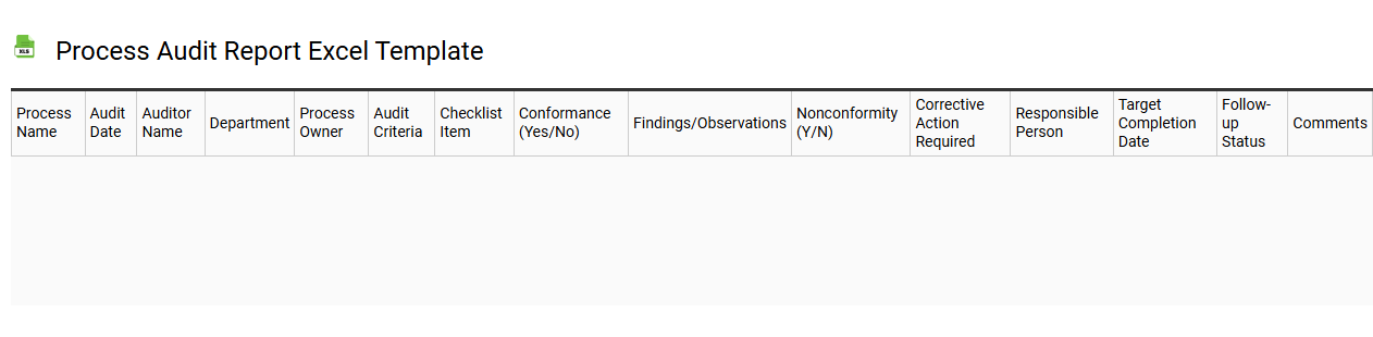 Process audit report Excel template