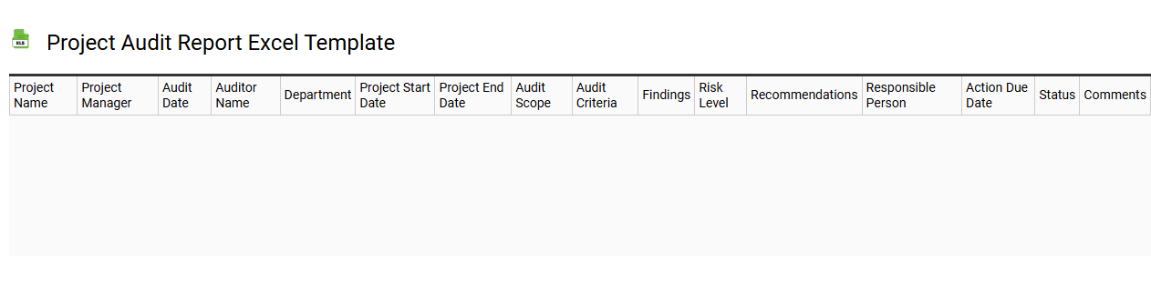 Project audit report Excel template