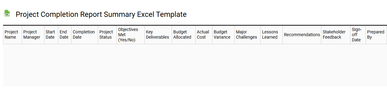 Project completion report summary Excel template