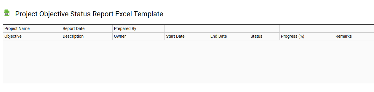 Project objective status report Excel template