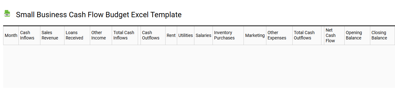 Small business cash flow budget Excel template