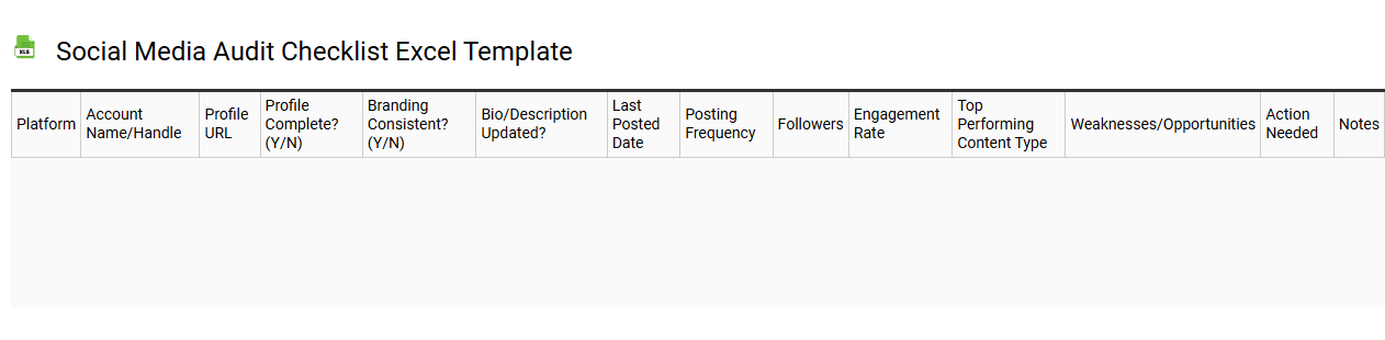 Social media audit checklist Excel template