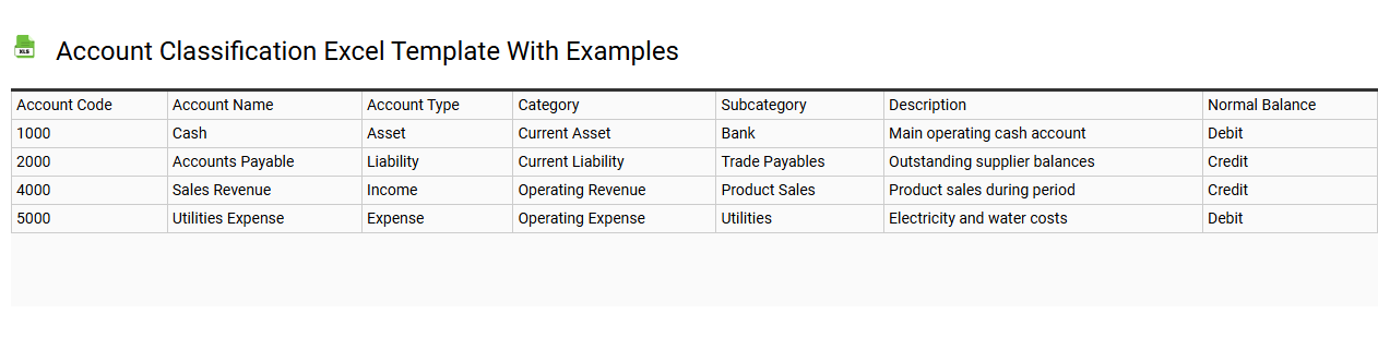 Account classification Excel template with examples