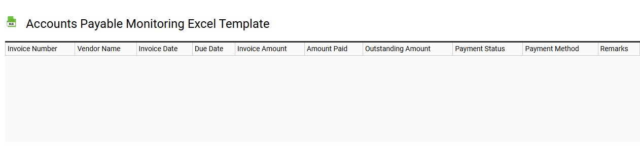 Accounts payable monitoring Excel template