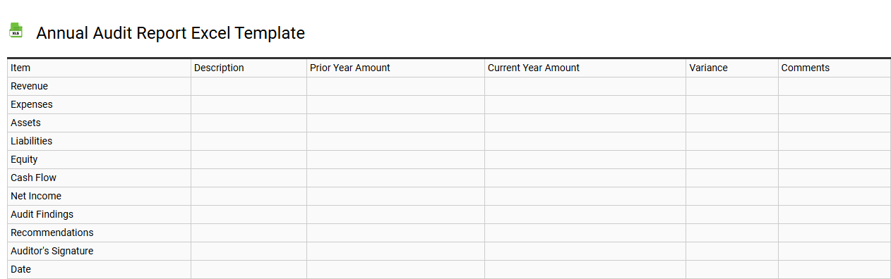 Annual audit report Excel template