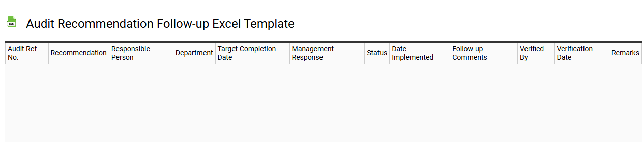 Audit recommendation follow-up Excel template