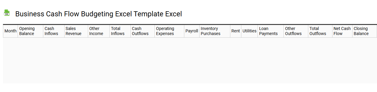 Business cash flow budgeting Excel template Excel