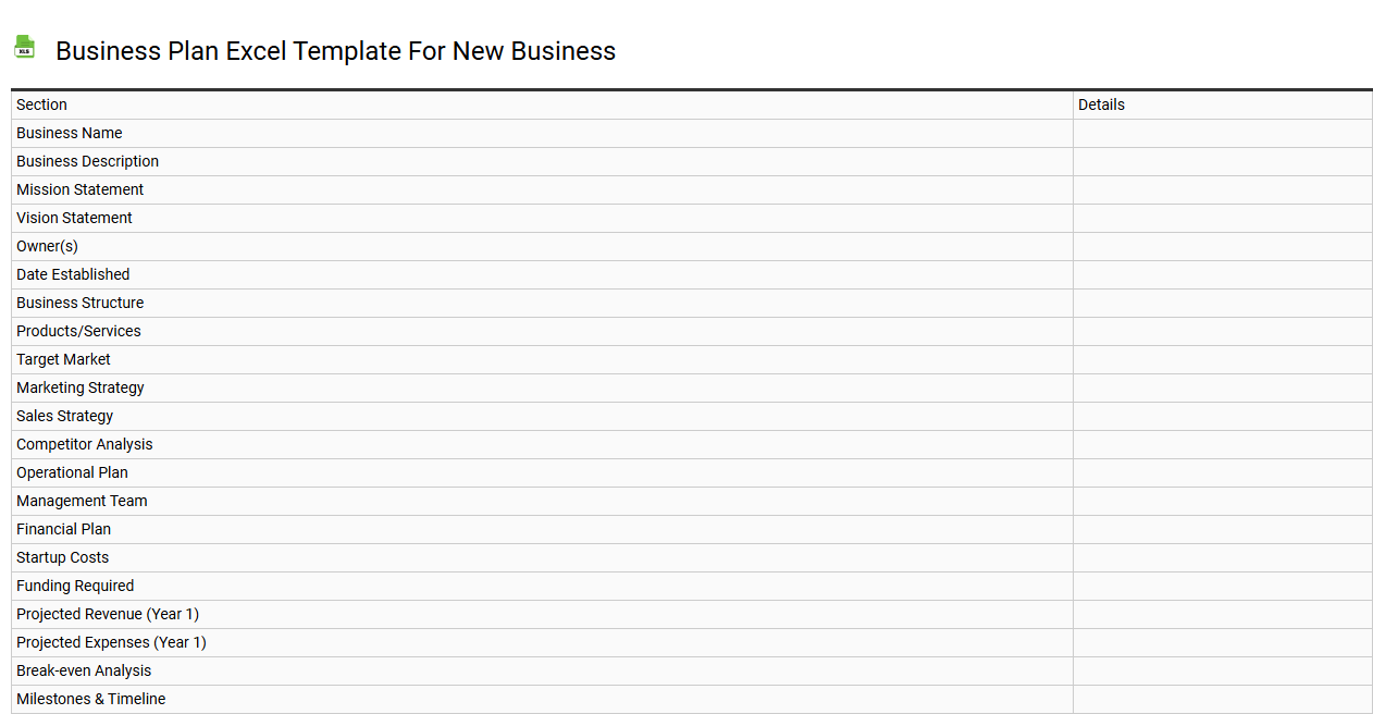 Business plan Excel template for new business