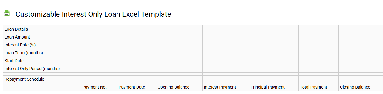 Customizable interest only loan Excel template