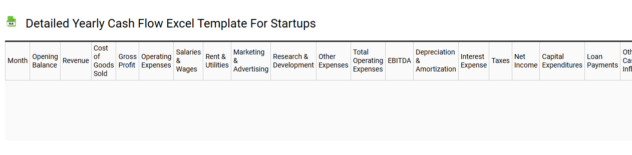 Detailed yearly cash flow Excel template for startups
