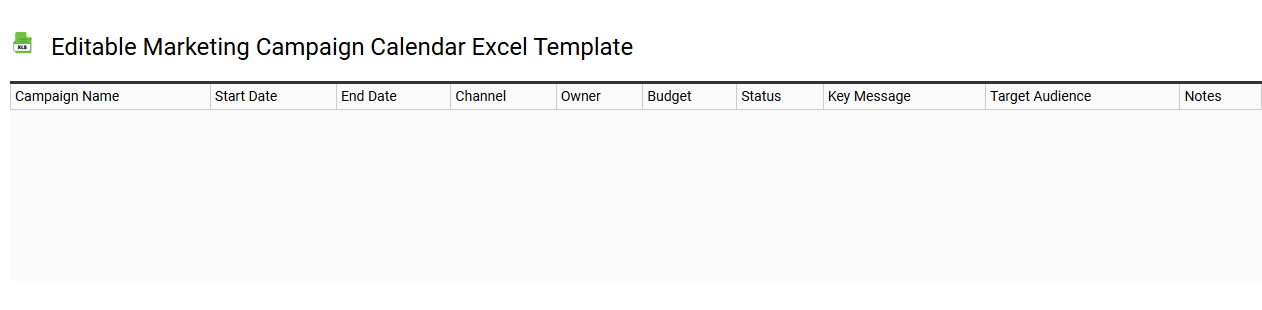 Editable marketing campaign calendar Excel template