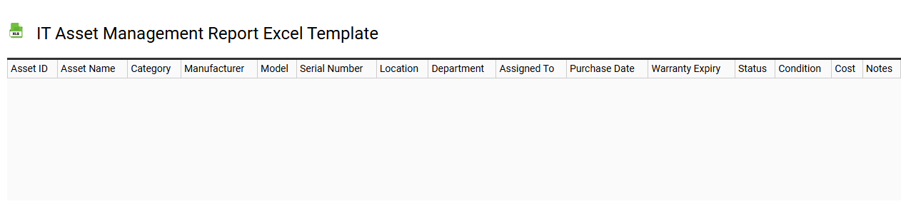 IT asset management report Excel template