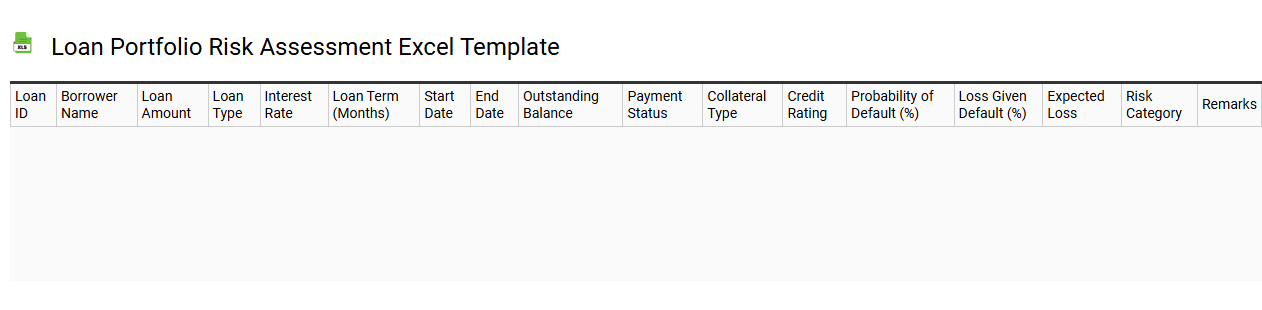 Loan portfolio risk assessment Excel template