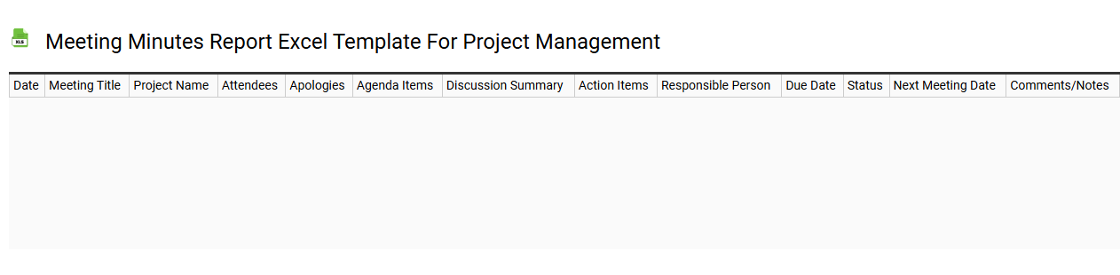 Meeting minutes report Excel template for project management
