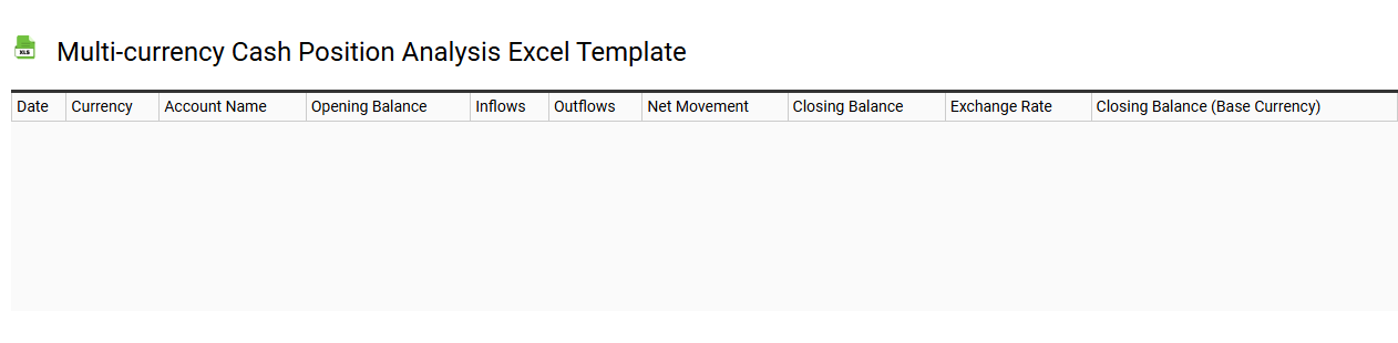 Multi-currency cash position analysis Excel template