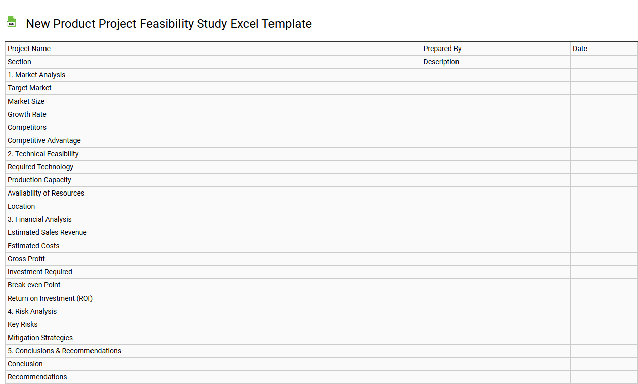 New product project feasibility study Excel template