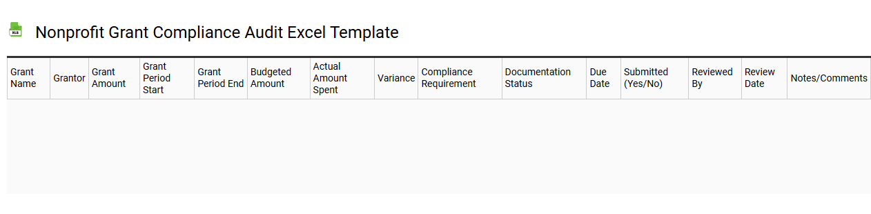 Nonprofit grant compliance audit Excel template