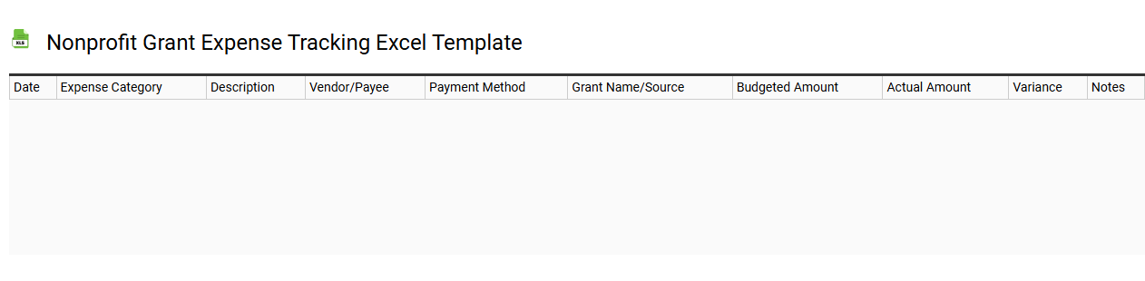Nonprofit grant expense tracking Excel template